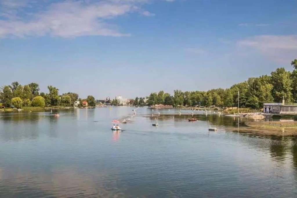 Schoenes Living Am Donauufer 维也纳 外观 照片