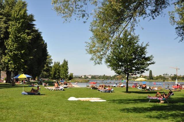 Schoenes Living Am Donauufer 维也纳 外观 照片