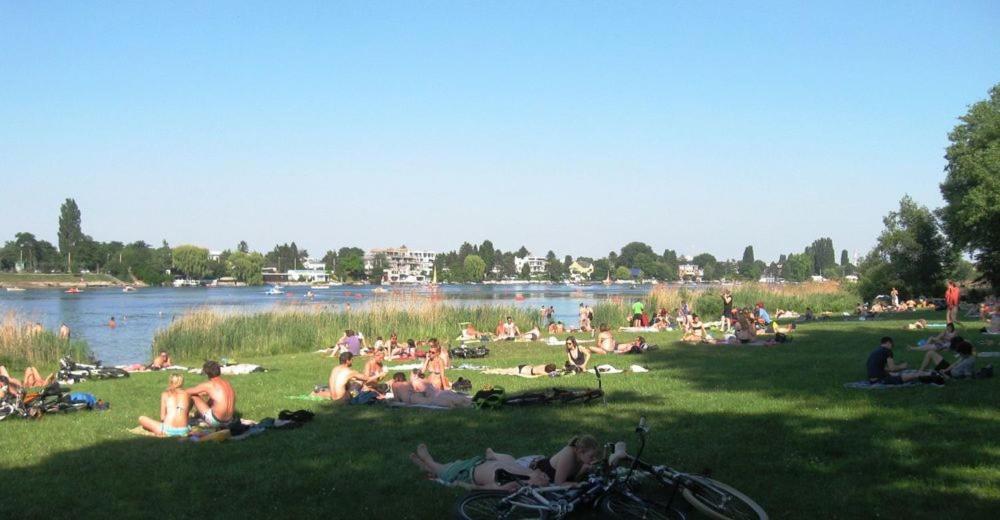 Schoenes Living Am Donauufer 维也纳 外观 照片
